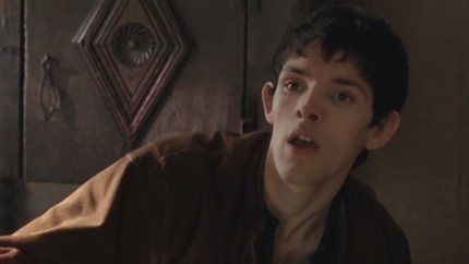 Merlin Fotoğrafı