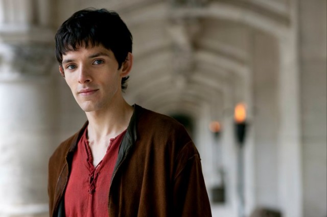 Merlin Fotoğrafı