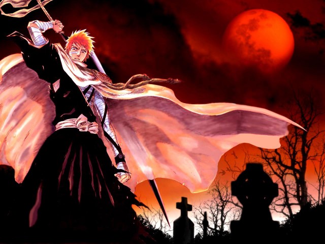 Bleach Fotoğrafı