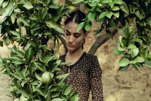 Yumurta Fotoğrafı