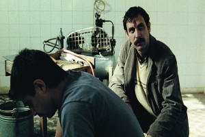 Yumurta fotoğrafı