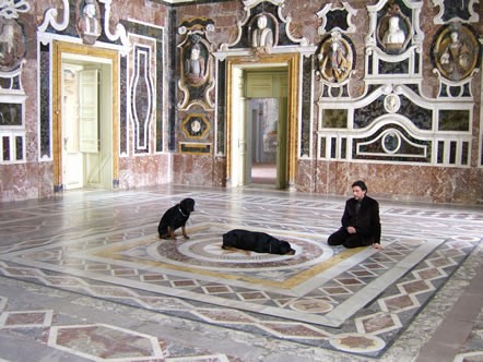 Düğün Yönetmeni Fotoğrafı