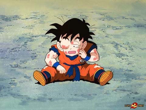 Dragon Ball Z Fotoğrafı