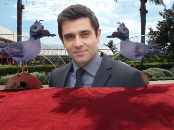 Kelebek fotoğrafı