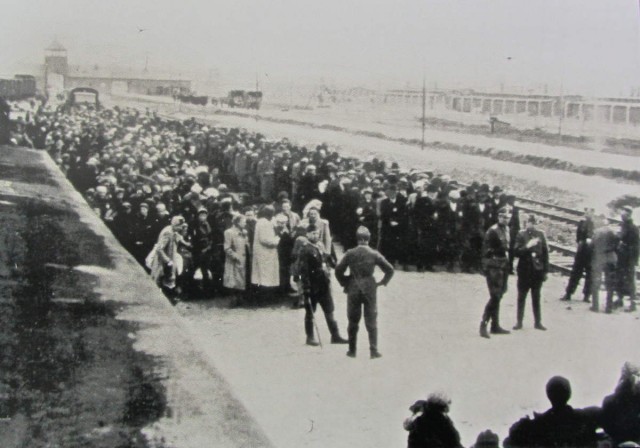 Auschwitz: The Nazis And The 'final Solution' fotoğrafı