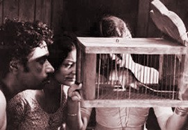 Rat-trap Fotoğrafı