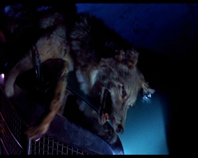 Leatherface: Texas Chainsaw Massacre III Fotoğrafları 23