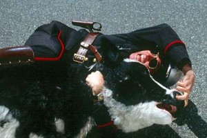 Ben Kendim ve Sevgilim Fotoğrafı