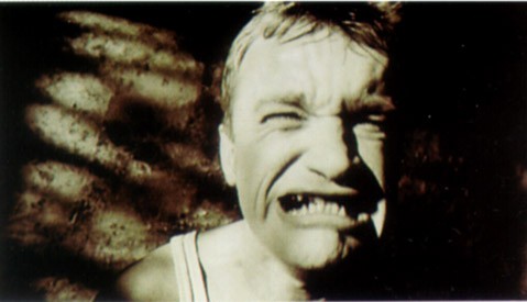 Foutaises Fotoğrafı