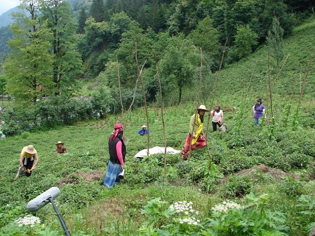 Off Karadeniz Fotoğrafı