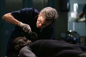 CSI: NY Fotoğrafları 87