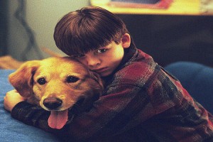 Sayı Kralı Buddy Fotoğrafı