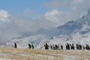120 Fotoğrafı