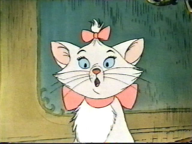 Aristokediler Fotoğrafı