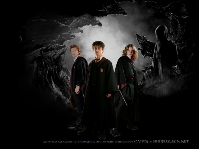 Harry Potter ve Sırlar Odası Fotoğrafları 13