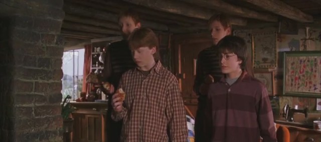 Harry Potter ve Sırlar Odası Fotoğrafları 43