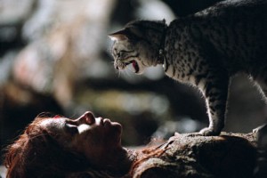 Kedi Kadın Fotoğrafları 4