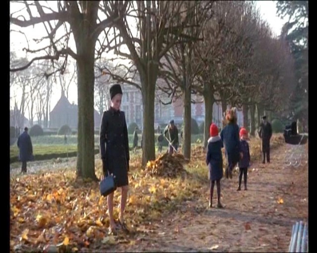 Gündüz Güzeli Fotoğrafı