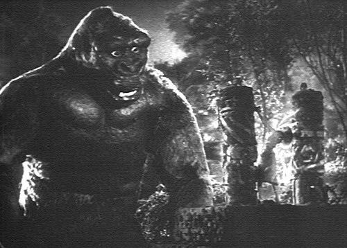 King Kong Fotoğrafları 3