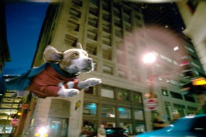 Underdog Fotoğrafları 8