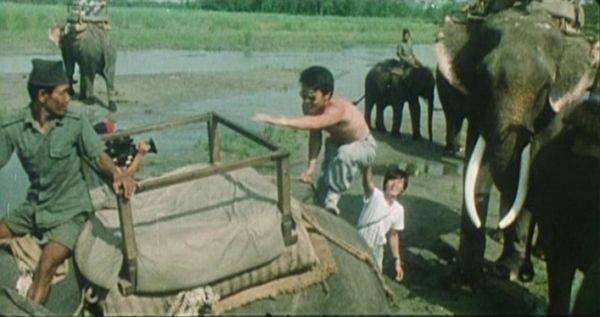 Witch From Nepal Fotoğrafı