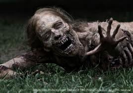 The Walking Dead Fotoğrafı