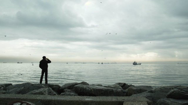 Çakal Fotoğrafı