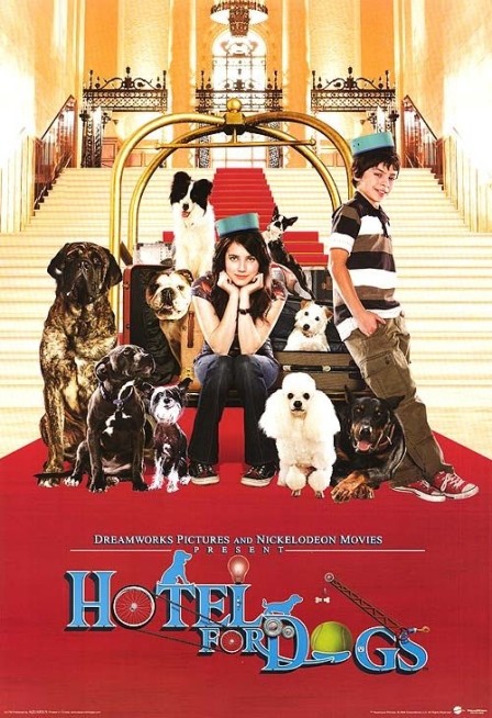 Köpek Oteli Fotoğrafı