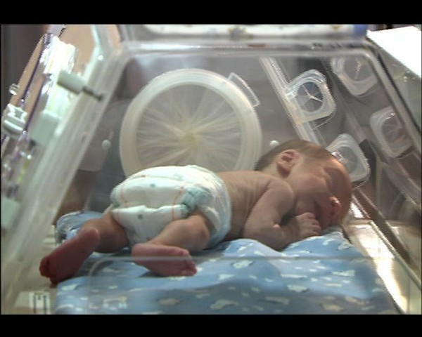 Lale Devri Fotoğrafı