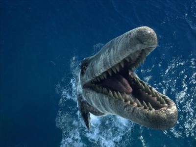 Sea Rex 3d: Journey To A Prehistoric World Fotoğrafları 3
