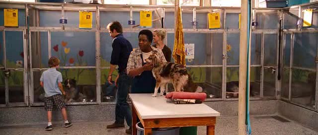 İyi Olan Kazansın Fotoğrafı