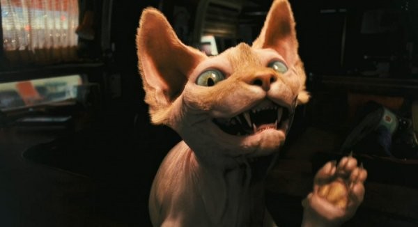 Kediler ve Köpekler Kitty Galore'un İntikamı Fotoğrafı
