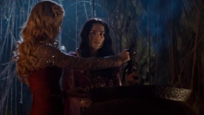 Merlin Fotoğrafı