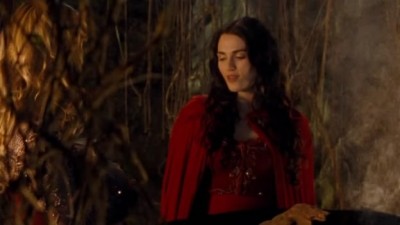 Merlin Fotoğrafı