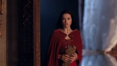 Merlin Fotoğrafı