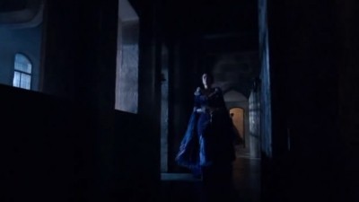 Merlin Fotoğrafı
