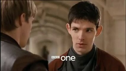 Merlin Fotoğrafı