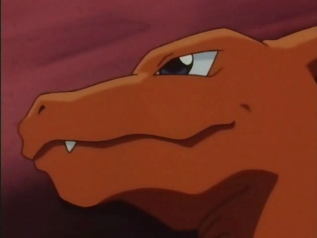 Pokemon Fotoğrafı