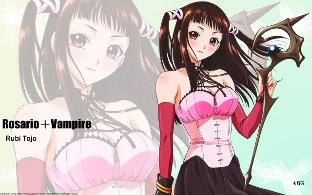 Rosario To Vampire Fotoğrafı