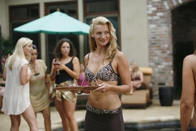 The Gates Fotoğrafı