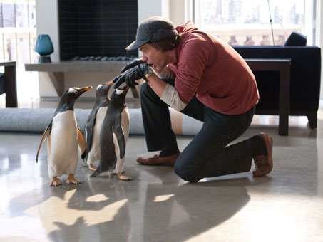 Babamın Penguenleri Fotoğrafı