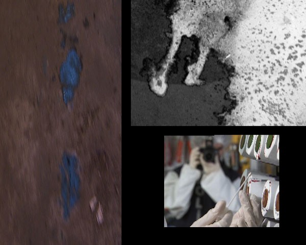Kanıt Fotoğrafı