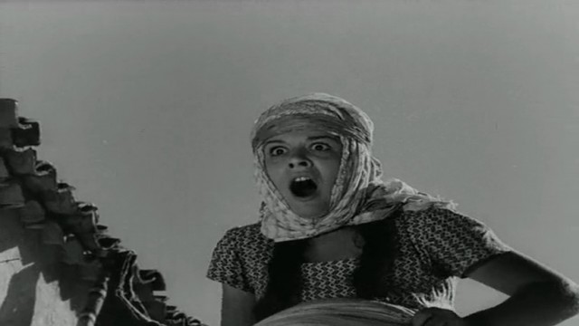 Susuz Yaz Fotoğrafı