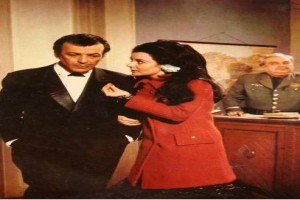 Menekşe Gözler Fotoğrafı