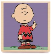 Charlie Brown Ve Snoopy Shov Fotoğrafları 18