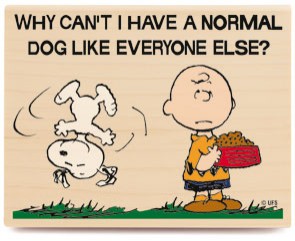 Charlie Brown Ve Snoopy Shov Fotoğrafları 2
