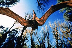 T-REX: Dinozorlar Devrine Dönüş Fotoğrafı