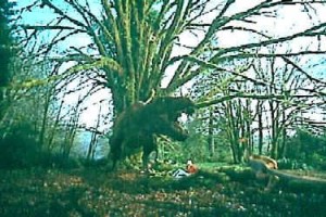 T-REX: Dinozorlar Devrine Dönüş fotoğrafı