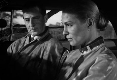 Yaban Çilekleri Fotoğrafı