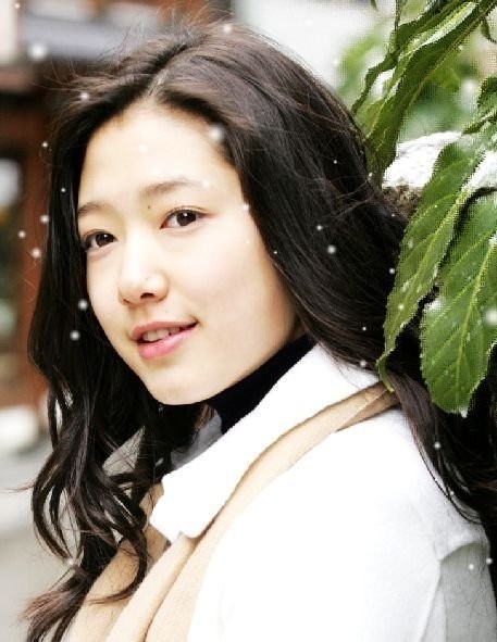 Tree Of Heaven Fotoğrafı